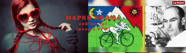 стаф Надым