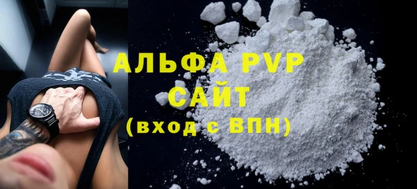 стаф Надым
