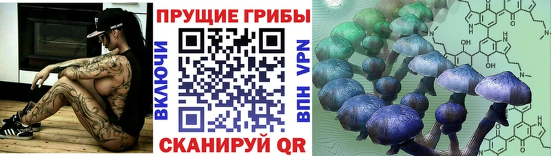Псилоцибиновые грибы Cubensis  Касимов 