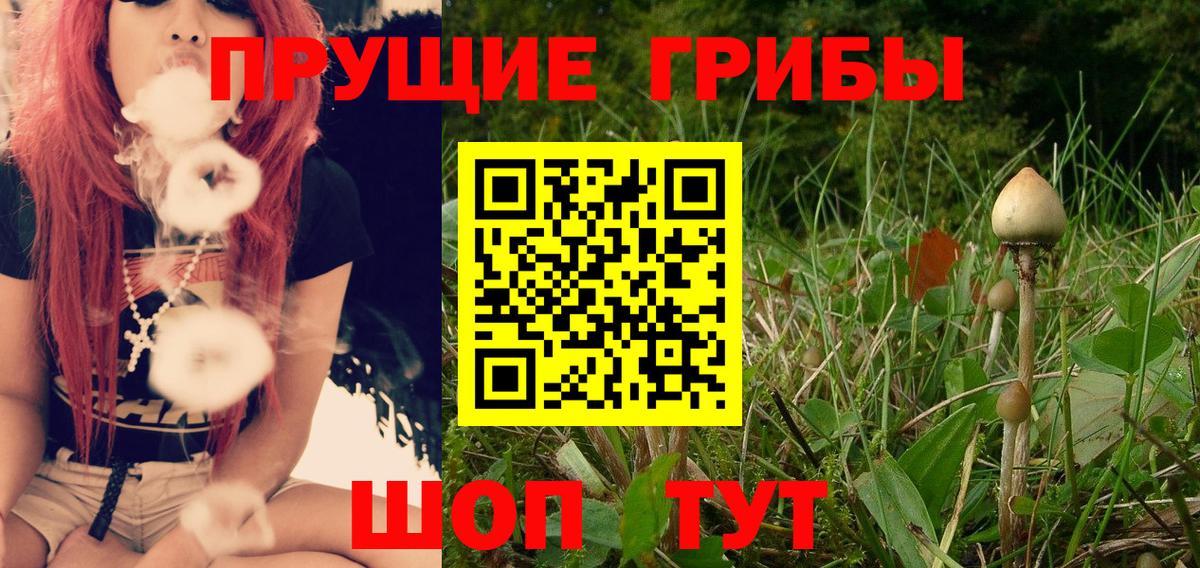 Псилоцибиновые грибы прущие грибы  цены   Касимов  Псилоцибиновые грибы ЛСД 