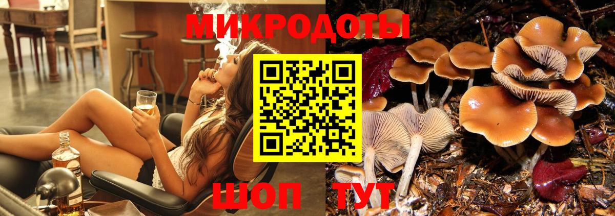 Галлюциногенные грибы мицелий Касимов